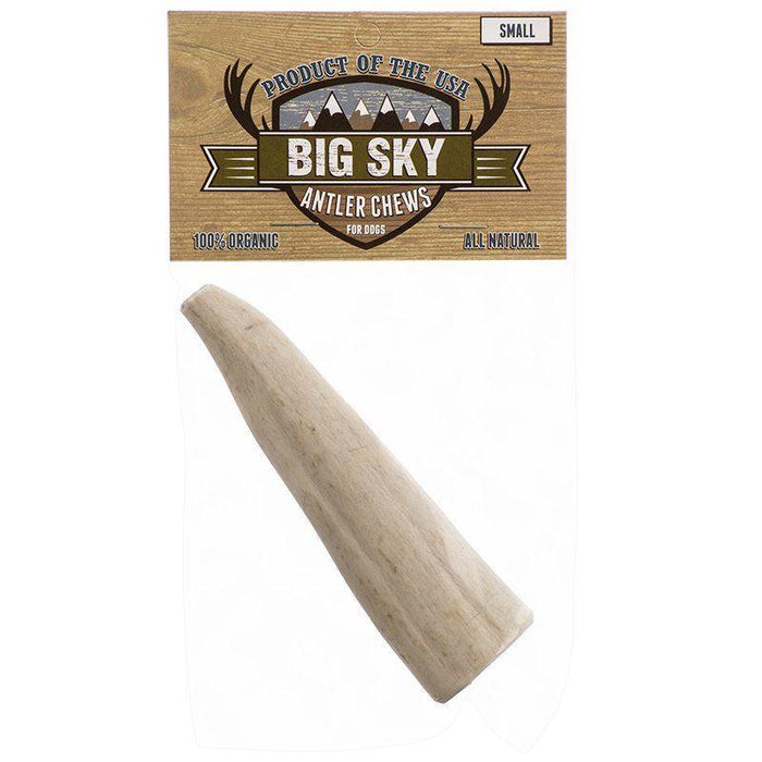 Scott Pet Big Sky Antler Chew for Dogs - 015958979728