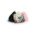 Silly Squeaker iBall Small Black Brown Pink Dog Toy - 180181904028