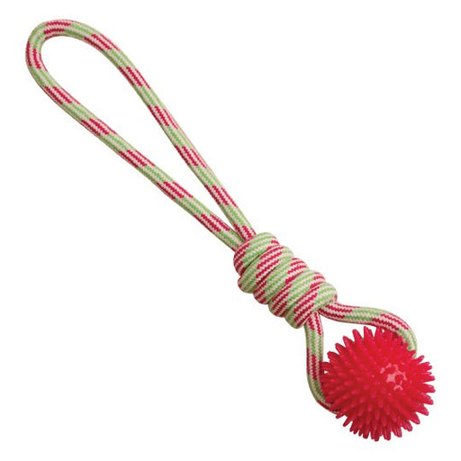 Snugarooz Spike-O-Mite Rope Dog Toy - 712038962563