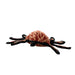 Tuffy Desert Spider - 180181903755