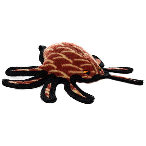 Tuffy Desert Spider - 180181903755