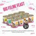 Weruva BFF Grain Free Big Feline Feast Canned Cat Food Variety Pack - 878408001475