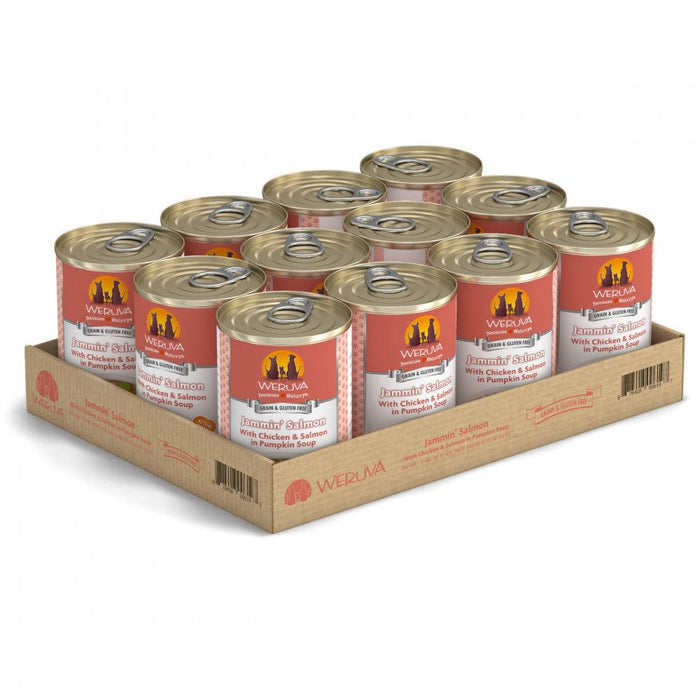 Weruva Jammin Salmon with Chicken & Salmon in Pumpkin Soup Canned Dog Food - 878408006197