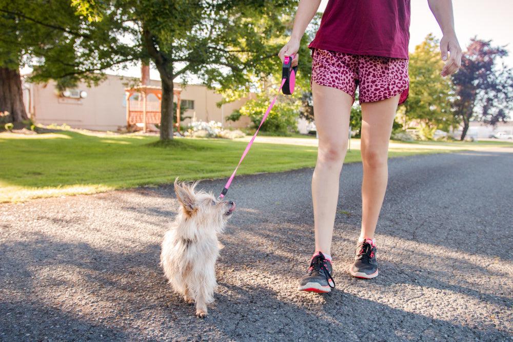 Wigzi Gel Handle Reflective Tape Pink Retractable Dog Leash - 019962072048