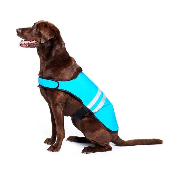 ZippyPaws Adventure Gear Blue Cooling Dog Vest - 818786015145