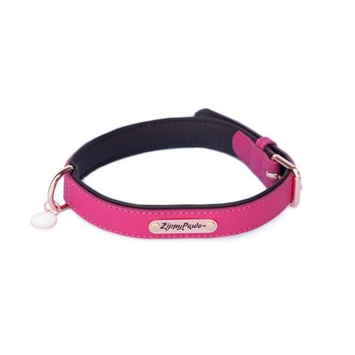 ZippyPaws Vivid Collection Magenta Dog Collar - 818786013554