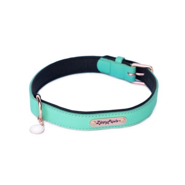 ZippyPaws Vivid Collection Teal Dog Collar - 818786013516