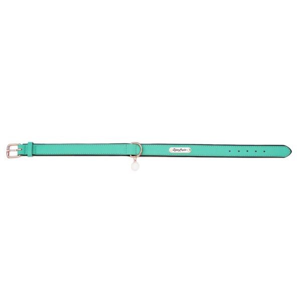 ZippyPaws Vivid Collection Teal Dog Collar - 818786013516