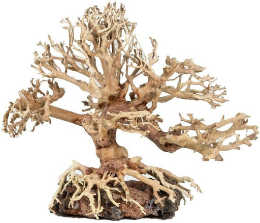 Zoo Med Dragon Bonsai Tree Aquarium Decoration - 097612201512