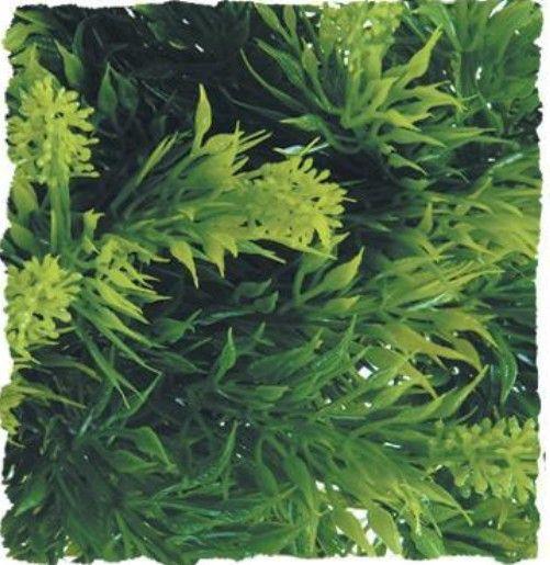 Zoo Med Malaysian Fern Plant - 097612180138