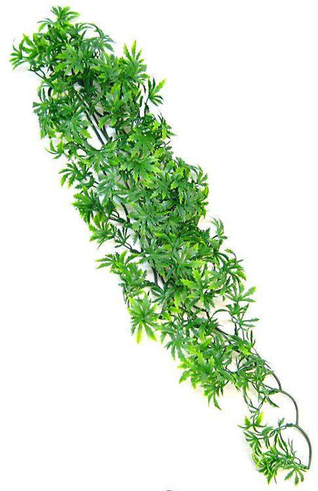 Zoo Med Natural Bush - Canabis Aquarium Plant - 097612180367