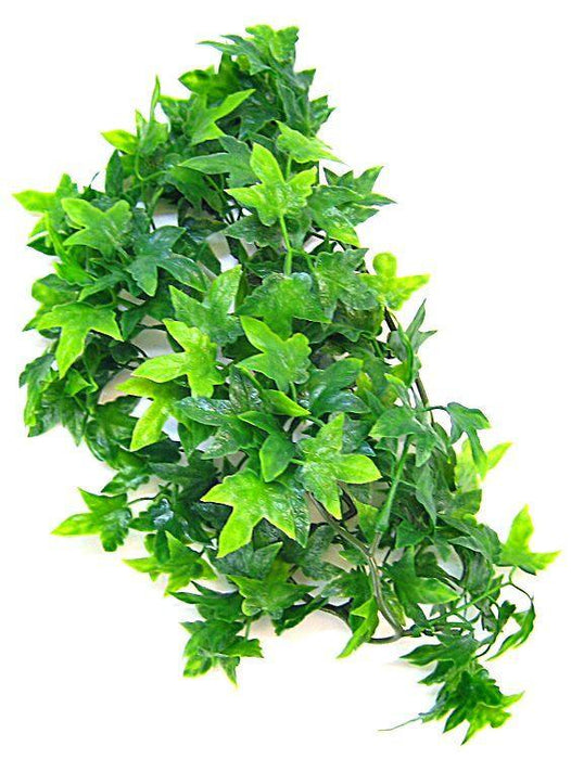 Zoo Med Natural Bush - Congo Ivy Aquarium Plant - 097612180121