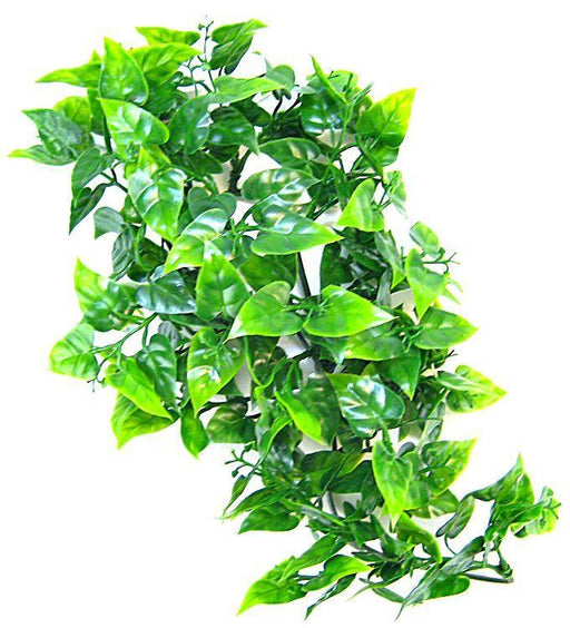 Zoo Med Natural Bush - Mexican Phyllo Aquarium Plant - 097612180107