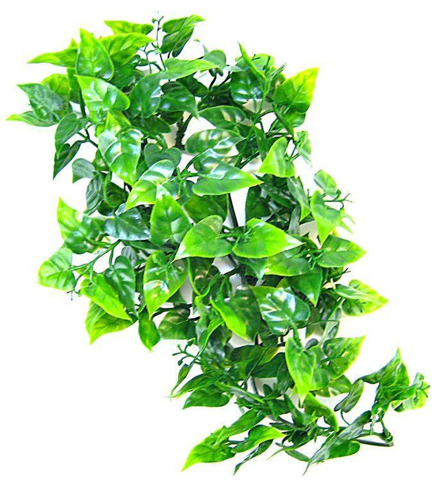 Zoo Med Natural Bush - Mexican Phyllo Aquarium Plant - 097612180107