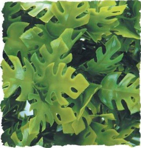 Zoo Med Natural Bush Small Amazonian Phyllo - 097612180114